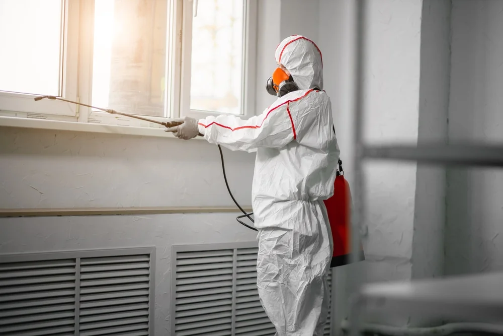 Professional mold remediation services in Goffstown, NH